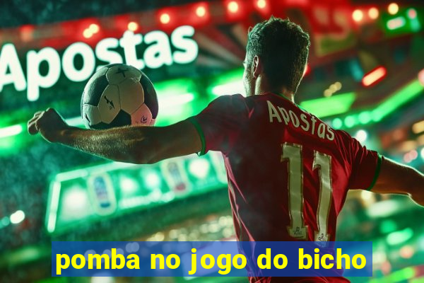 pomba no jogo do bicho